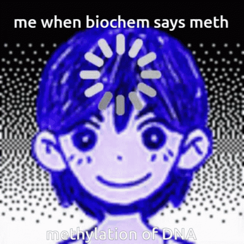 A Cartoon Of A Girl With The Words Me When Biochem Says Meth Methylation Of Dna Below It GIF