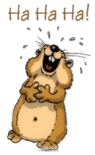 Hamster Laughing With Ha Ha Ha GIF