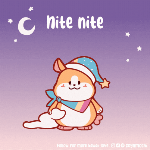 A Cartoon Of A Hamster Wearing A Sleep Cap With The Words " C Nite Nite " Written Above It GIF