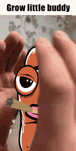 A Cartoon Of A Hot Dog Smoking A Cigarette With The Words Grow Little Buddy Above It GIF