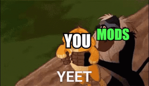 A Cartoon Of A Lion And A Monkey With The Words You Mods Yeet GIF