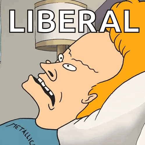 A Cartoon Of A Man Laying In Bed With The Word Liberal Written On The Bottom GIF
