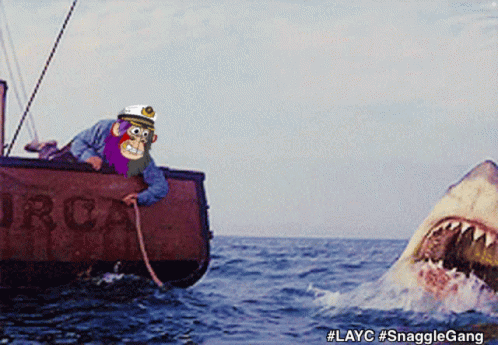 A Cartoon Of A Man On A Boat With A Shark In The Background And The Hashtag Layc GIF