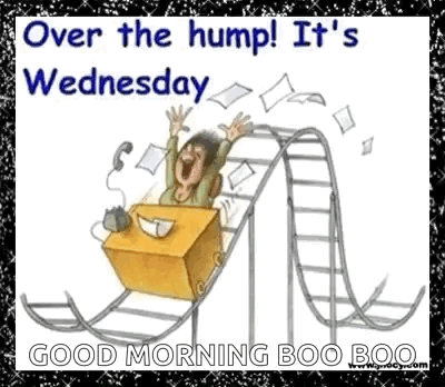A Cartoon Of A Man On A Roller Coaster With The Words `` Over The Hump ! It 'S Wednesday `` . GIF