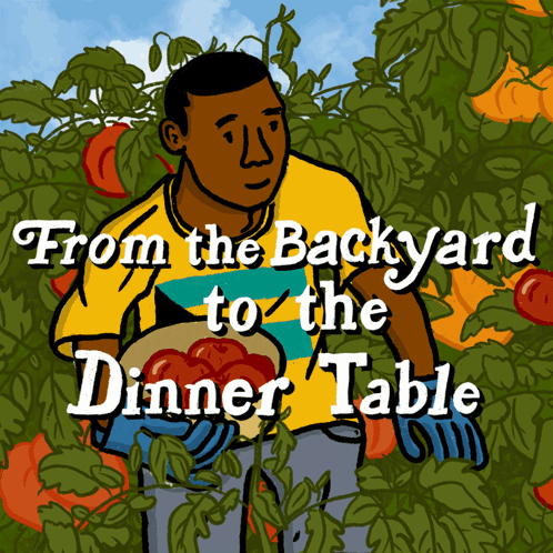 A Cartoon Of A Man Picking Tomatoes With The Words From The Backyard To The Dinner Table Above Him GIF