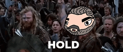 A Cartoon Of A Man With A Beard Is Surrounded By A Crowd Of People And The Word Hold Is On The Bottom Right GIF