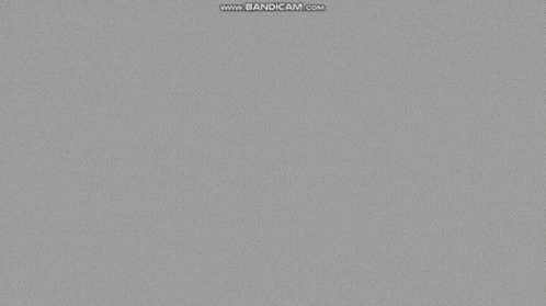 a cartoon of a man with a mustache and a black shirt is displayed on the bandicam website
