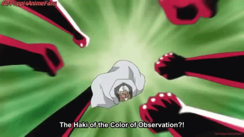 A Cartoon Of A Man With The Words " The Haki Of The Color Of Observation " On The Bottom GIF