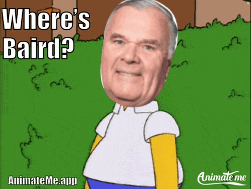A Cartoon Of A Man With The Words " Where 'S Baird " On The Bottom GIF