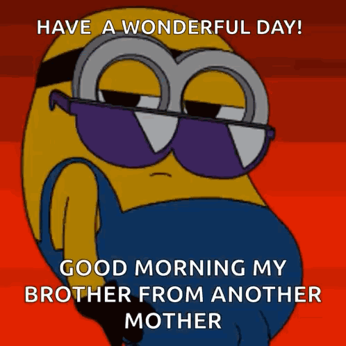 A Cartoon Of A Minion Wearing Sunglasses Says Have A Wonderful Day Good Morning My Brother From Another Mother GIF
