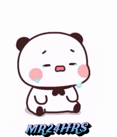 A Cartoon Of A Panda Bear Crying With The Words Mr24hrs Written Below It . GIF