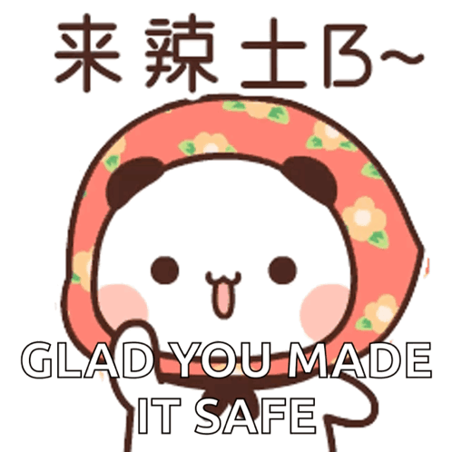 A Cartoon Of A Panda Wearing A Head Scarf With The Words Glad You Made It Safe Below It GIF