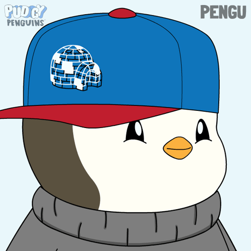 A Cartoon Of A Penguin Wearing A Blue Hat With The Name Pengu On It GIF