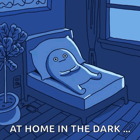 A Cartoon Of A Person Laying In Bed With The Words At Home In The Dark GIF