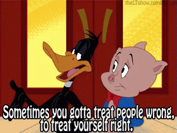 A Cartoon Of A Pig And A Duck With The Words Sometimes You Gotta Treat People Wrong To Treat Yourself Right GIF