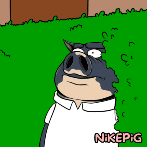 A Cartoon Of A Pig Peeking Out From Behind A Hedge With Nikepig Written On The Bottom GIF