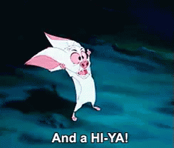 A Cartoon Of A Pig Saying And A Hi-Ya ! GIF