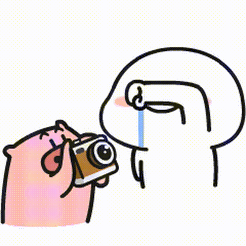 A Cartoon Of A Pig Taking A Picture Of Another Pig With A Camera And Crying . GIF