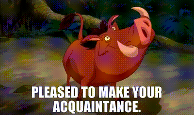 A Cartoon Of A Pig With The Words `` Pleased To Make Your Acquaintance . '' GIF