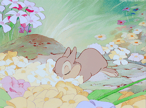 A Cartoon Of A Rabbit Laying In A Field Of Flowers With Disney Everyday Written On The Bottom GIF