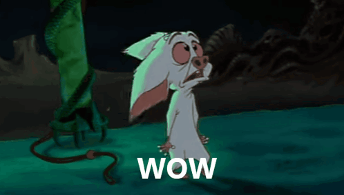 A Cartoon Of A Rabbit With The Word Wow Written Below It GIF