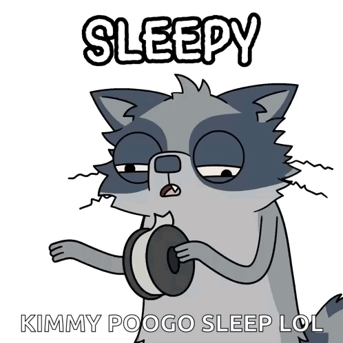 A Cartoon Of A Raccoon Holding A Donut With The Words Sleepy Written Above It GIF