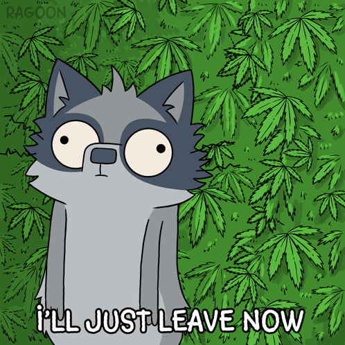 A Cartoon Of A Raccoon With The Words I 'Ll Just Leave Now GIF