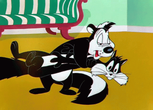 A Cartoon Of A Skunk And A Cat Fighting In Front Of A Striped Couch GIF