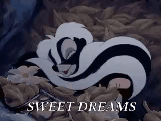 A Cartoon Of A Skunk Sleeping In A Pile Of Leaves With The Words `` Sweet Dreams '' . GIF