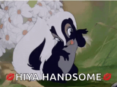 A Cartoon Of A Skunk With The Words Hiya Handsome Above It GIF
