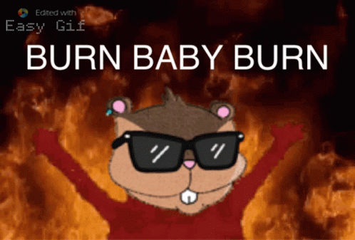 A Cartoon Of A Squirrel Wearing Sunglasses With The Words Burn Baby Burn Below It GIF