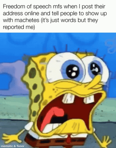 A Cartoon Of A Surprised Spongebob With The Caption Freedom Of Speech Mfs When I Post Their Address Online GIF