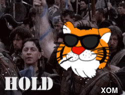 A Cartoon Of A Tiger Wearing Sunglasses Is Surrounded By A Crowd Of People And The Word Hold Is On The Bottom GIF