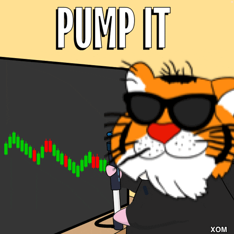 A Cartoon Of A Tiger Wearing Sunglasses With The Words Pump It Written Above It GIF