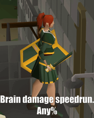 A Cartoon Of A Woman Holding A Sword And Shield With The Words Brain Damage Speedrun Any % On The Bottom GIF