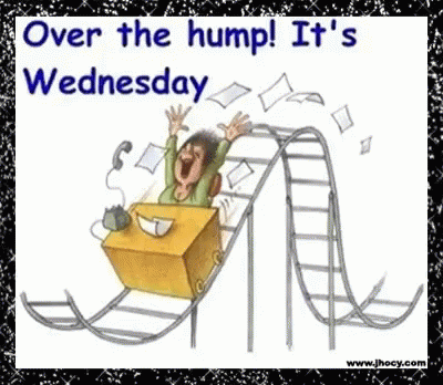 A Cartoon Of A Woman Riding A Roller Coaster With The Words Over The Hump It 'S Wednesday GIF