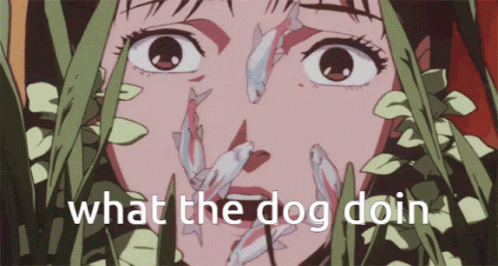A Cartoon Of A Woman With Fish On Her Face And The Words What The Dog Doin GIF