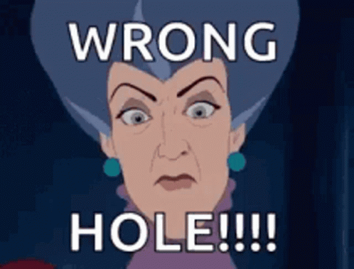A Cartoon Of A Woman With The Words Wrong Hole Written On It GIF