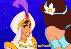a cartoon of aladdin and jasmine with the words sleep well princess on the bottom