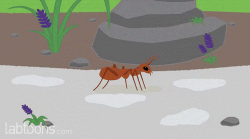 A Cartoon Of An Ant With Tabtoons.com On The Bottom GIF