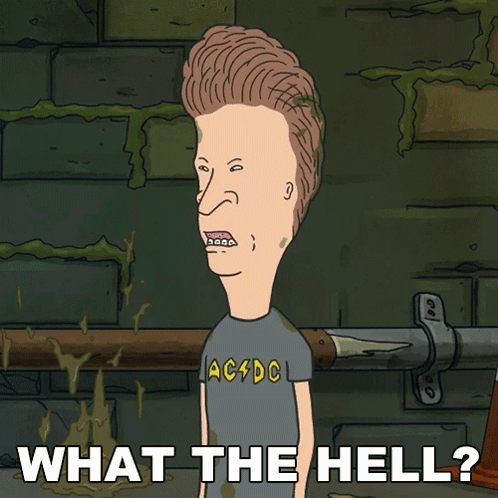 A Cartoon Of Beavis From Beavis And Butthead Says " What The Hell " GIF