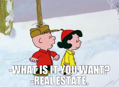 A Cartoon Of Charlie Brown And Lucy Brown Standing In The Snow Talking To Each Other . GIF
