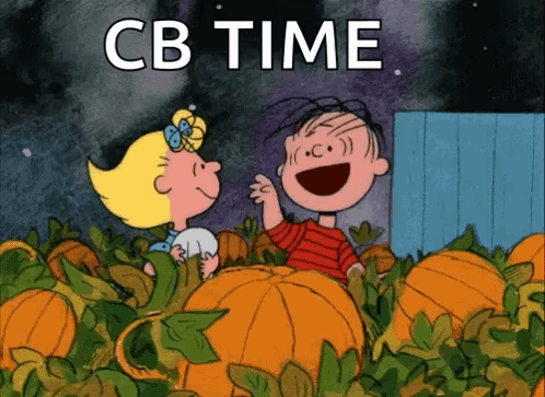 A Cartoon Of Charlie Brown And Snoopy In A Pumpkin Patch With Cb Time Written On The Bottom GIF