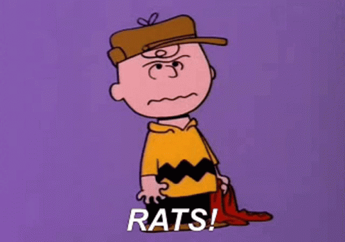 A Cartoon Of Charlie Brown With The Words Rats Written On The Bottom GIF