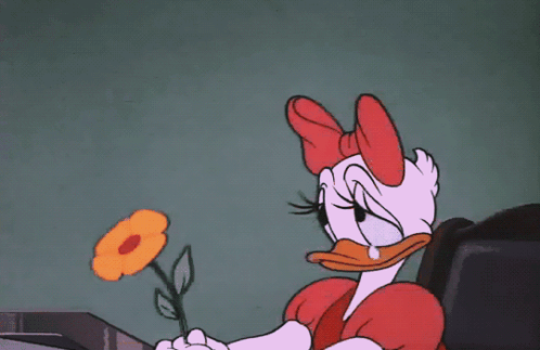 A Cartoon Of Daisy Duck Holding A Flower In Her Hand GIF
