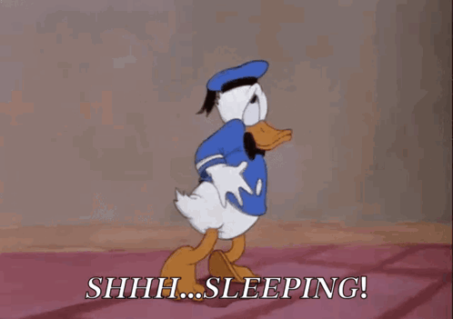 A Cartoon Of Donald Duck Saying " Shhh... Sleeping " GIF