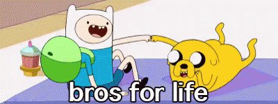 Finn And Jake Cartoon With Bros For Life Text GIF