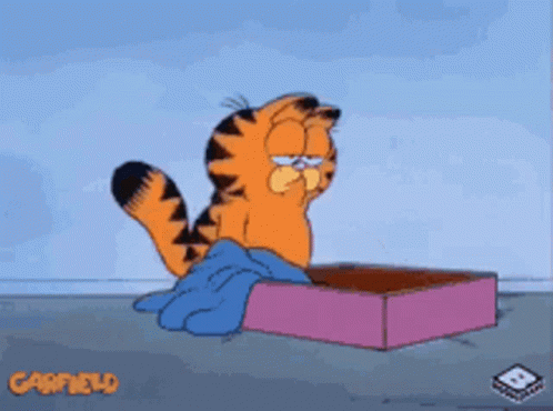 A Cartoon Of Garfield Crying While Sitting In A Box GIF