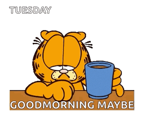 A Cartoon Of Garfield Holding A Cup With The Words Tuesday Good Morning Maybe Below It GIF