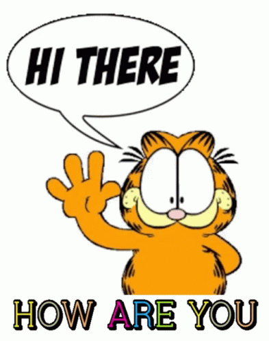 A Cartoon Of Garfield Says Hi There How Are You GIF